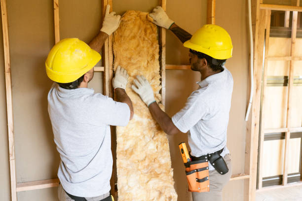 Best Commercial Insulation Services  in Pine Island, TX